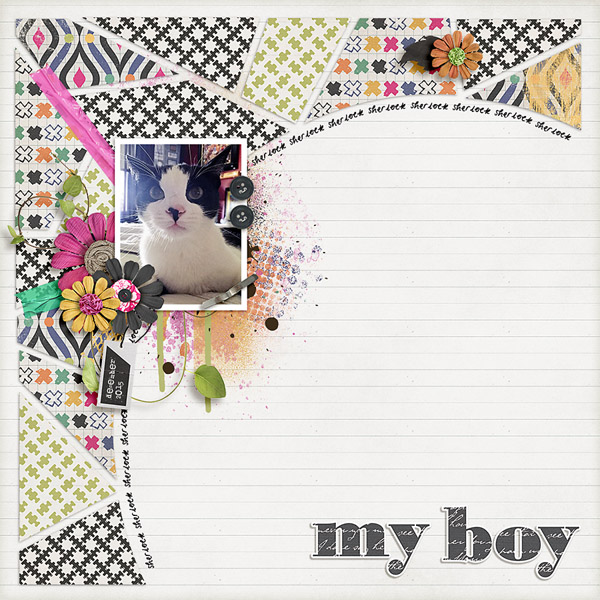 my boy