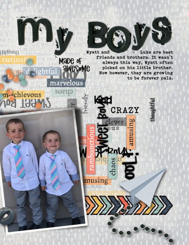 My Boys (Grandkids)