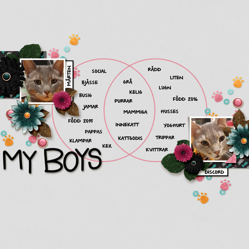 My Boys