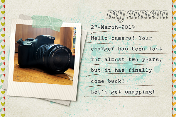 My Camera