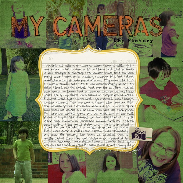 My Cameras the History