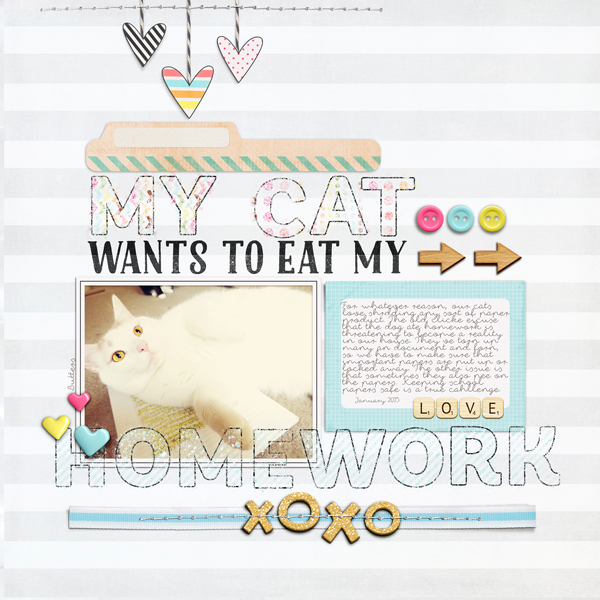 My Cat