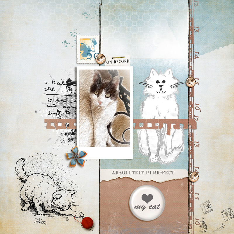 My Cat