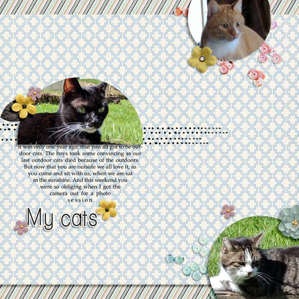 My cats (Round Robin Challenge)