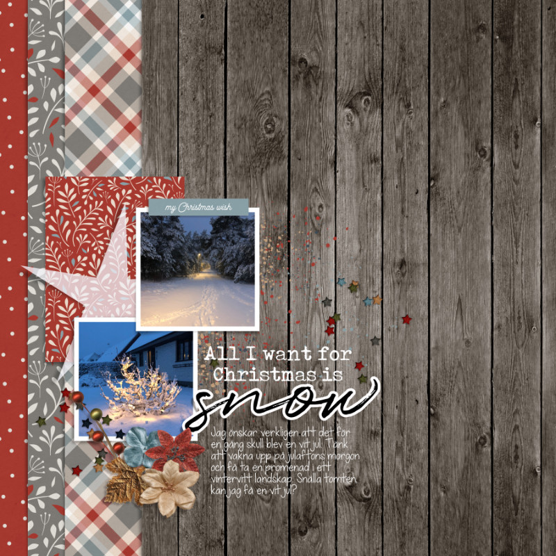 My Christmas Wish