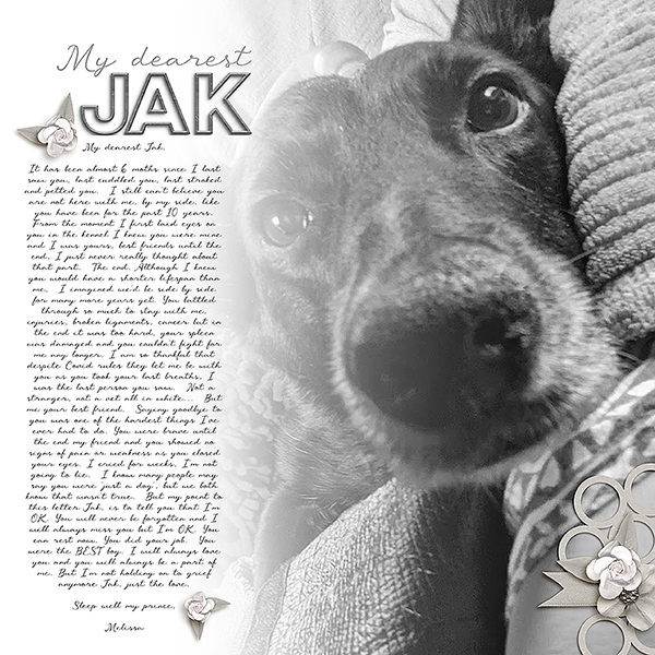 My Dearest Jak  | MOC 10.26