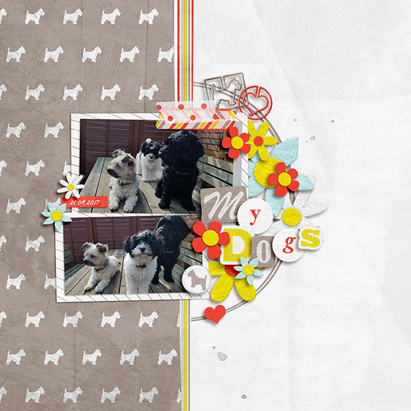 My Dogs