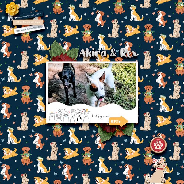 My Dogs