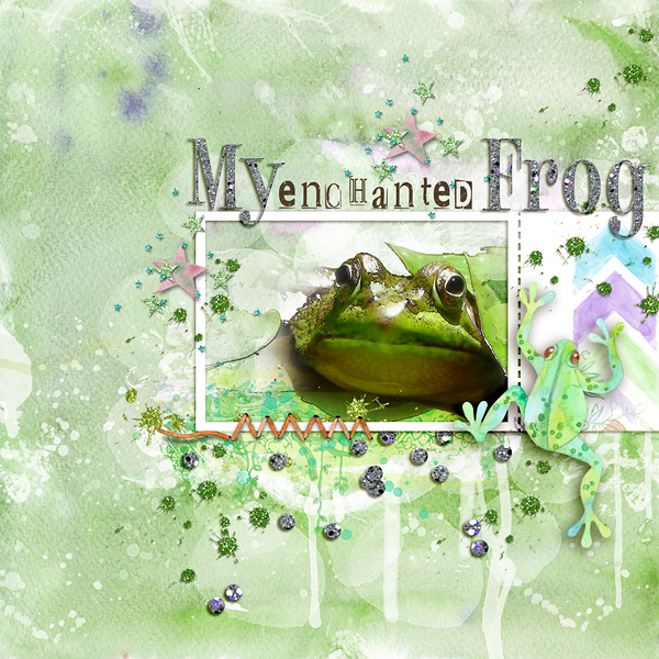 My Enchanted Frog