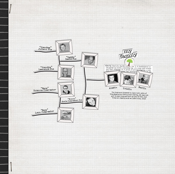 my family tree