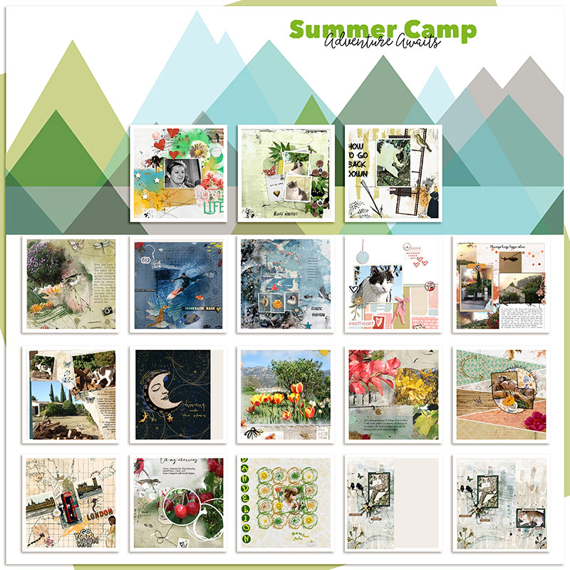 My Final Summer camp 2025