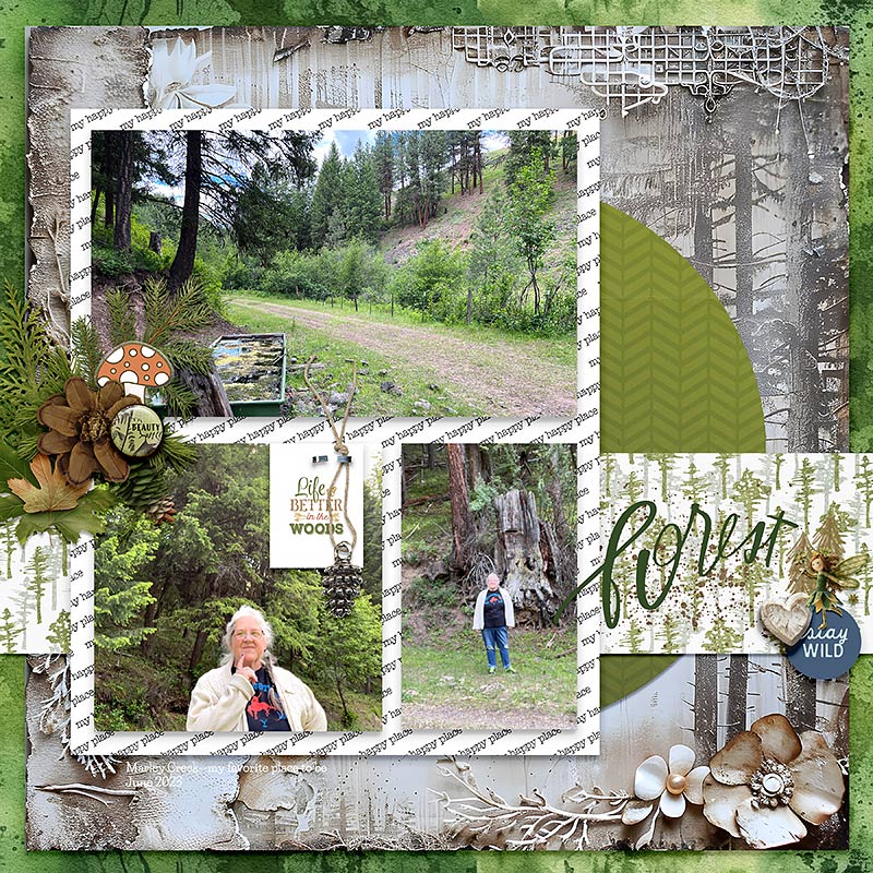 My-forest