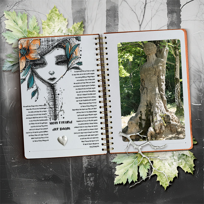 my friend the tree