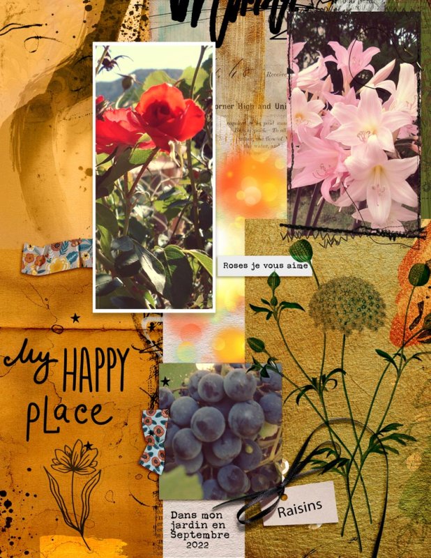 My garden in September