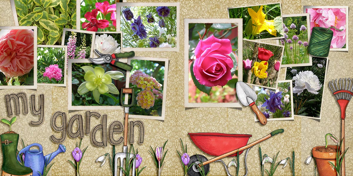 My Garden