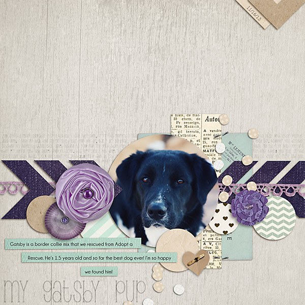 My Gatsby Pup