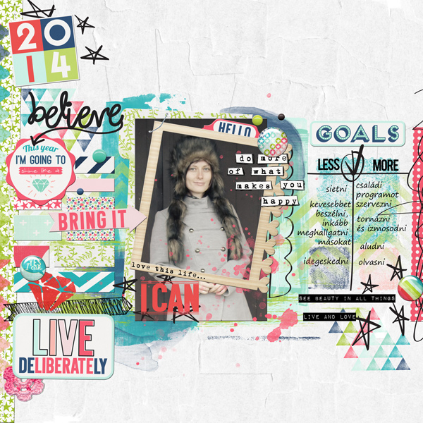 my goals for 2014