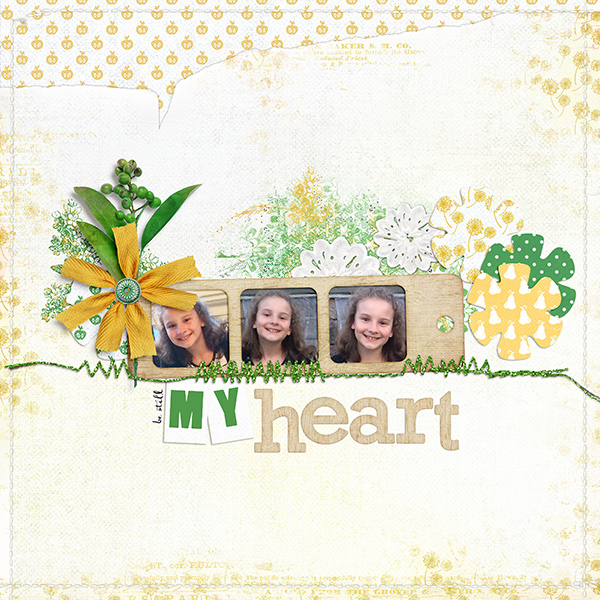 My Heart