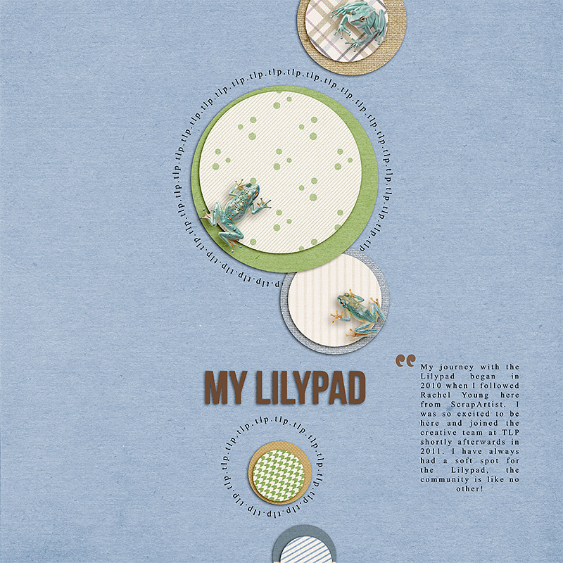 My Lilypad