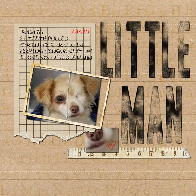 my Little Man