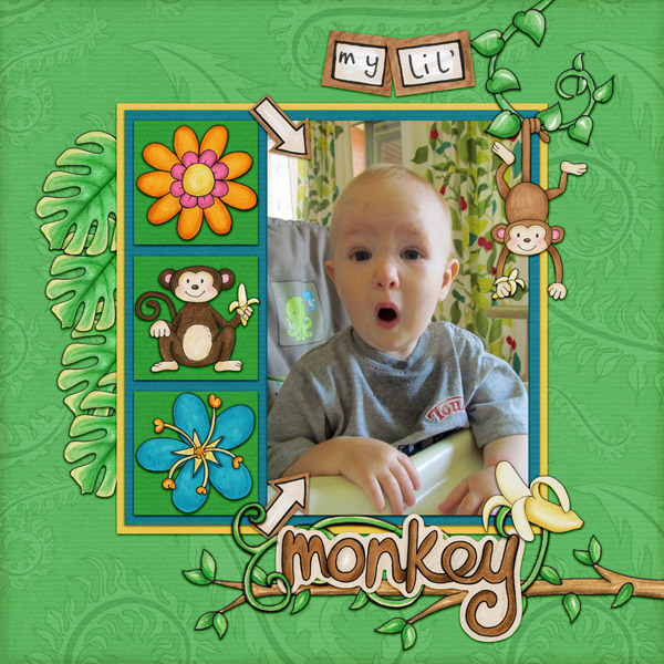 My-Little-Monkey