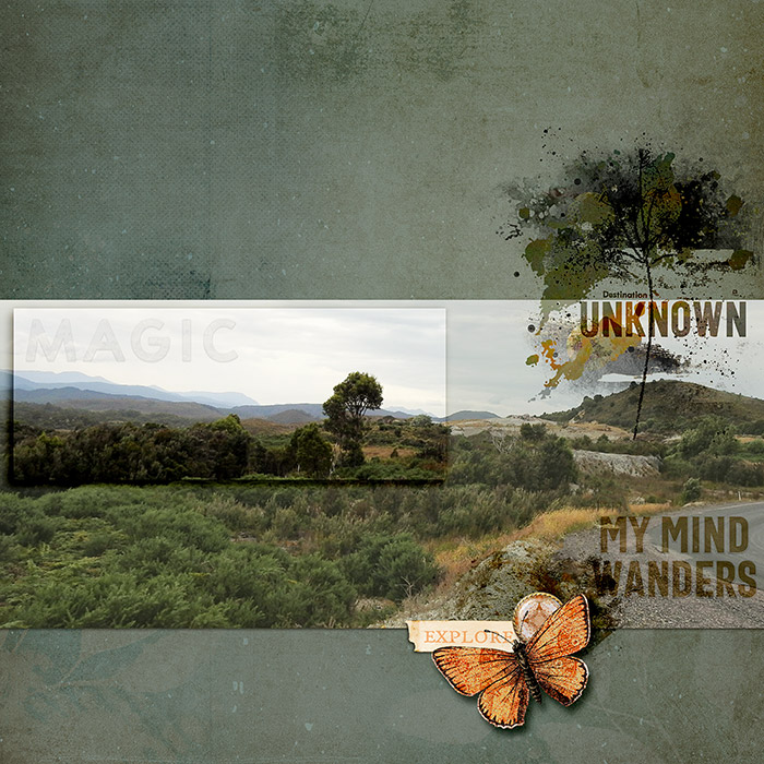 MY MIND WANDERS
