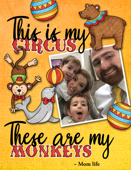 My Monkeys