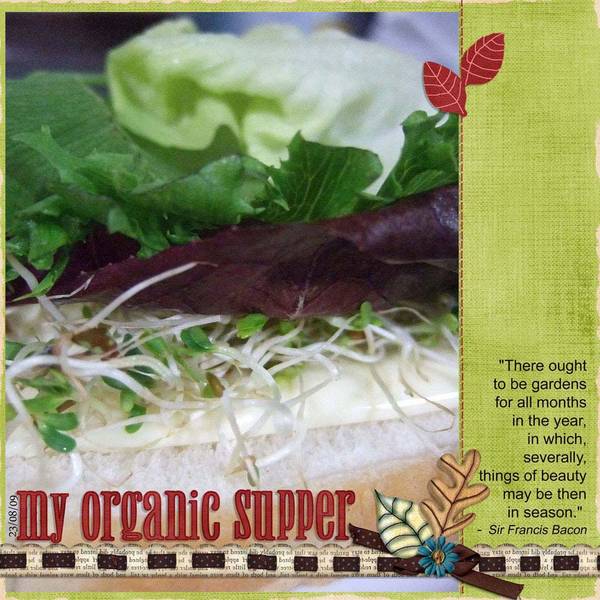 My Organic Supper