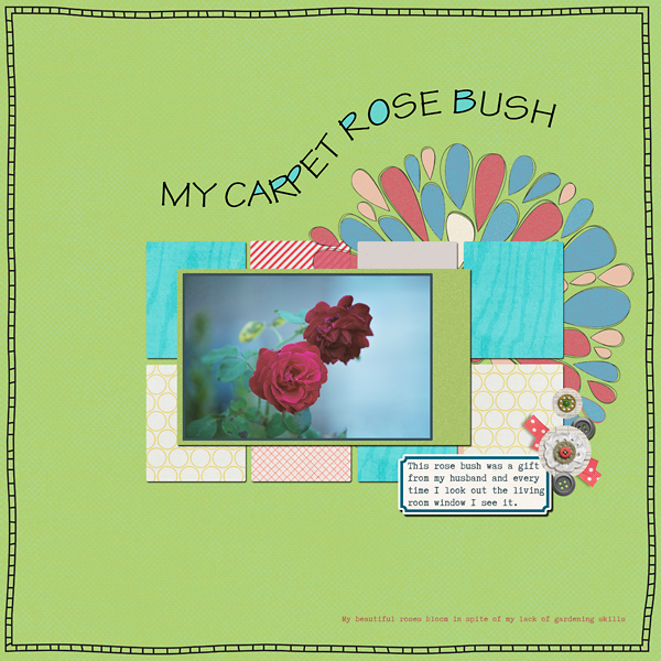 My-Rose-Bush-web