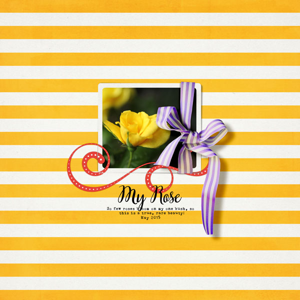 My Rose