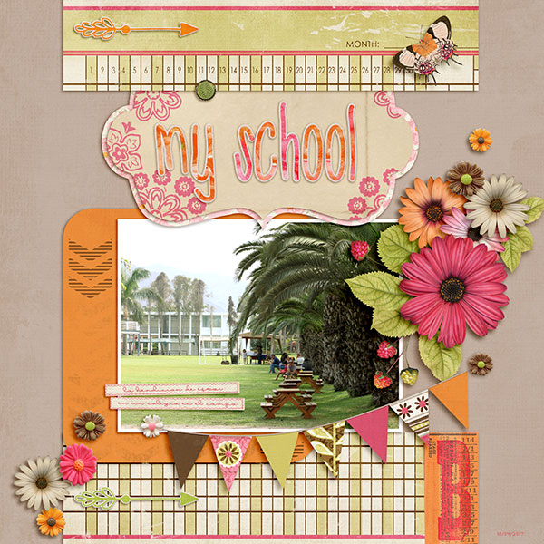 my school