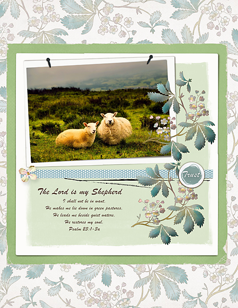 My-Shepherd_web