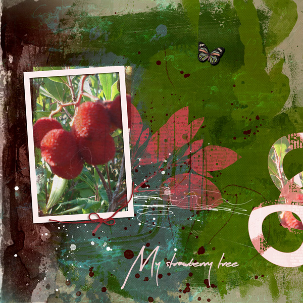 My strawberry tree