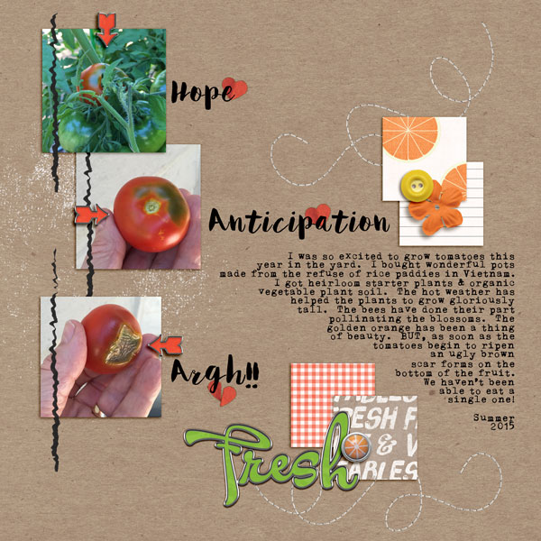 My Tomatoes