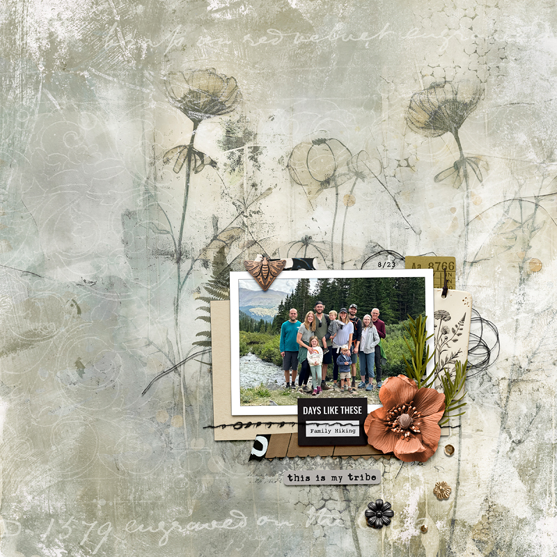 My Tribe