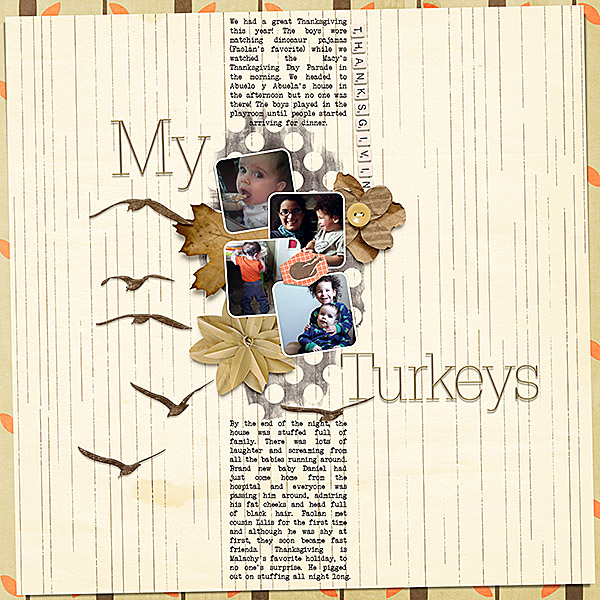 My Turkeys