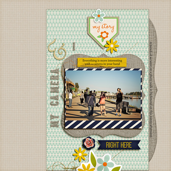 mycamera_i-copy