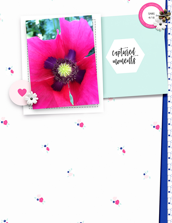 MyCapture