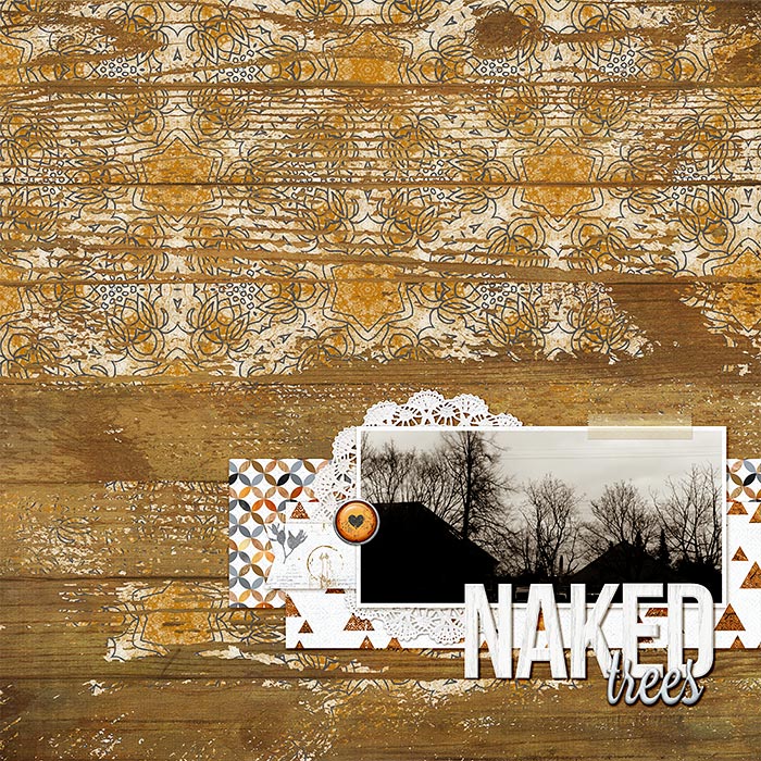 Naked Trees