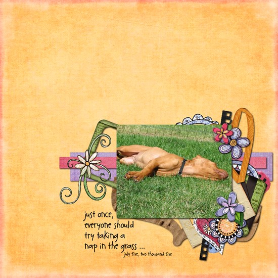 nap in the grass
