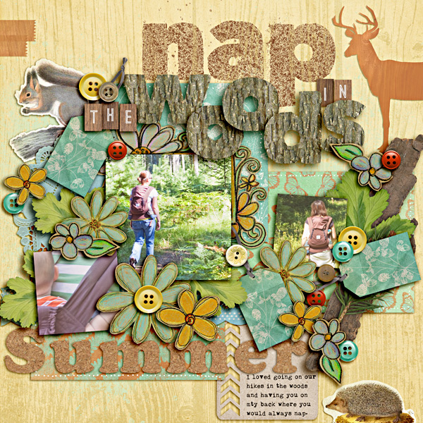 Nap In The Woods