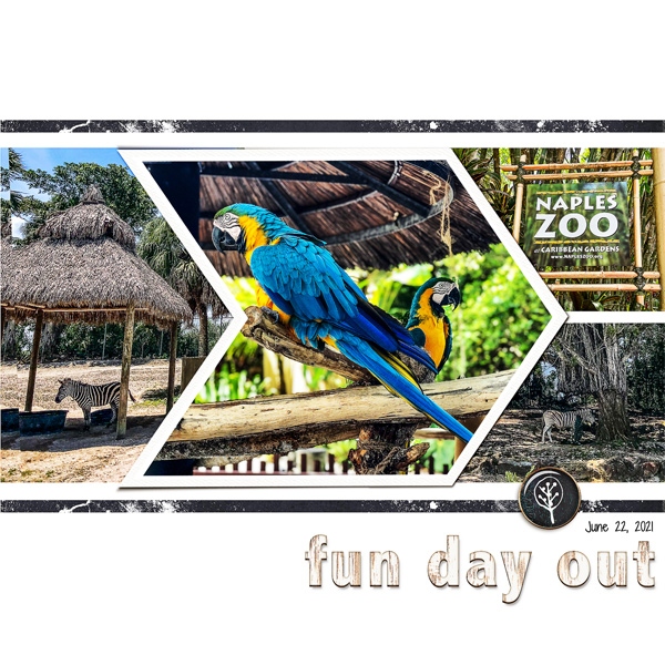 Naples, FL Zoo_left