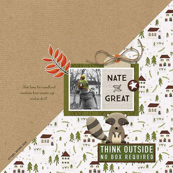 Nate the Great