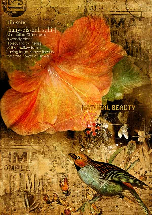 NATURAL BEAUTY