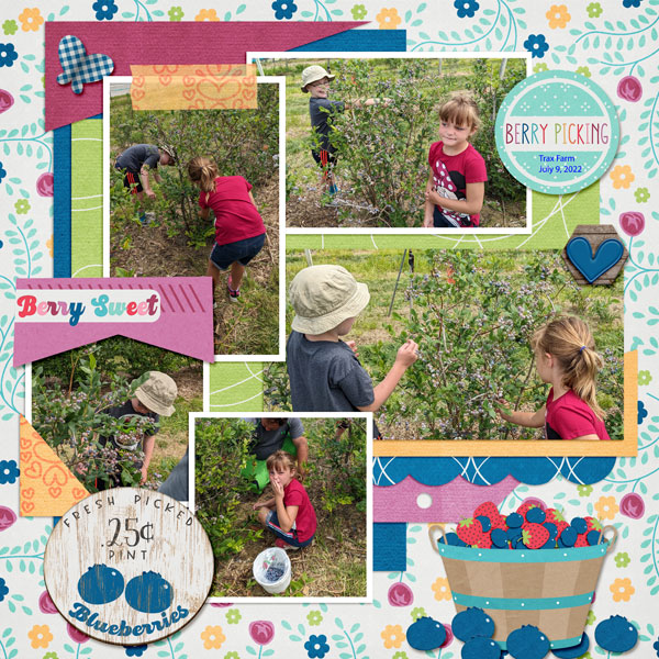 Naturally-Sweet-Bluebery-Pickin