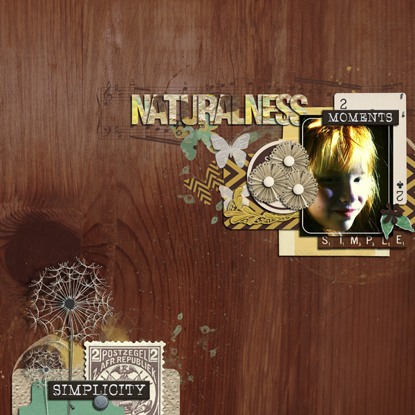Naturalness
