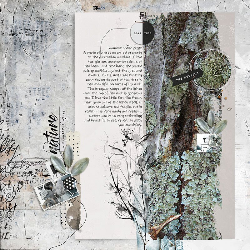 NATURE - A BEAUTIFUL STORY