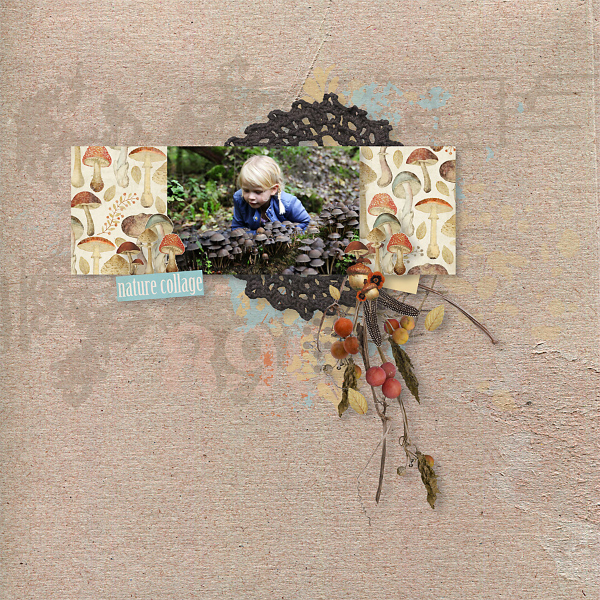Nature Bounty