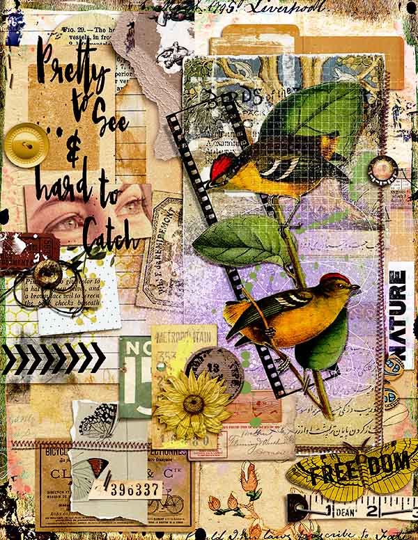 NATURE COLLAGE