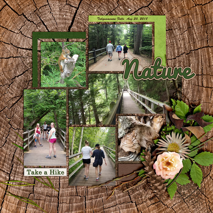Nature Hike Tahquamenon Falls